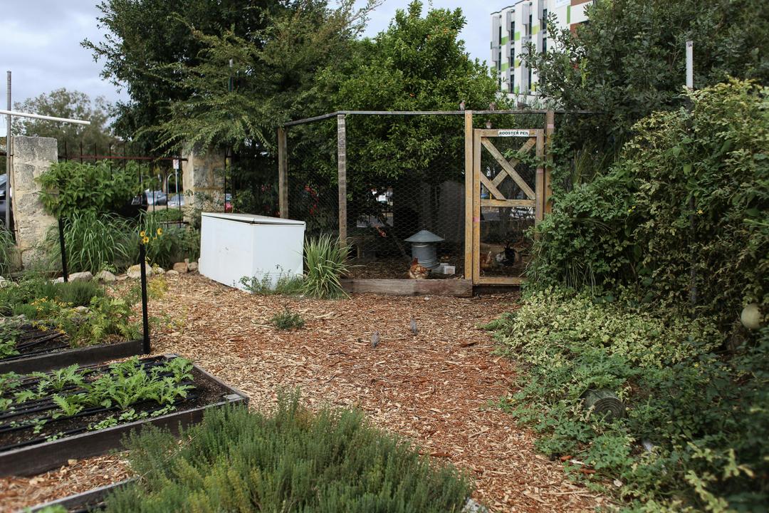 Local families tending to a community garden funded by donations.